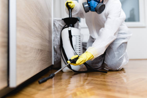 Best Residential Pest Control  in Privateer, SC
