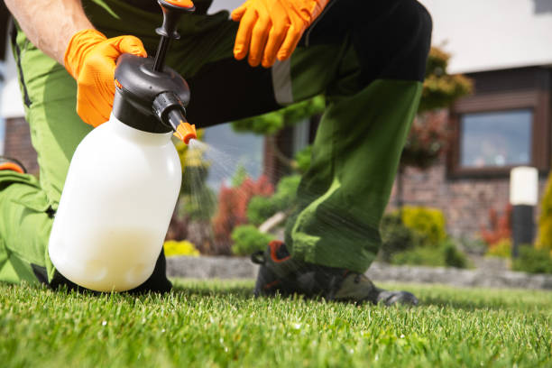 Best Local Pest Control Services  in Privateer, SC