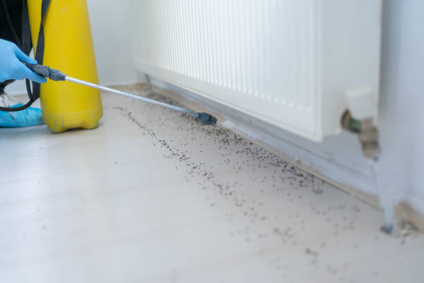 Best Wildlife Control Services  in Privateer, SC