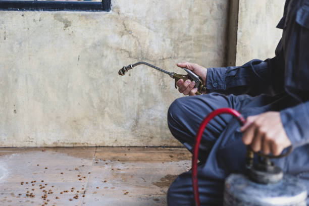 Best Pest Prevention Services  in Privateer, SC