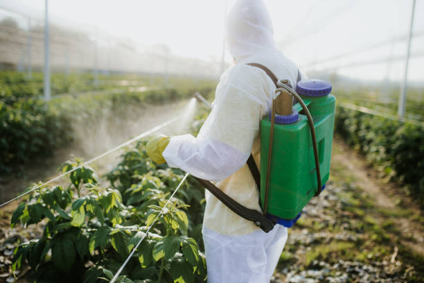 Best Mosquito Control Services  in Privateer, SC